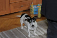 /album/5-let-a-vice/img-1903-jpg/